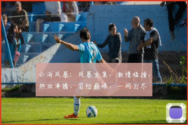 公海风暴：风暴全集，激情碰撞，热血沸腾，冒险巅峰，一网打尽