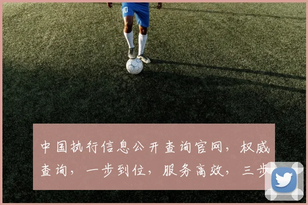 中国执行信息公开查询官网，权威查询，一步到位，服务高效，三步即可操作，值得信赖。