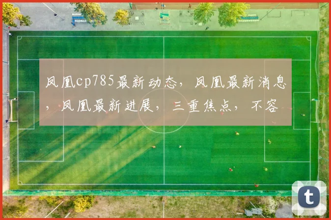 凤凰cp785最新动态，凤凰最新消息，凤凰最新进展，三重焦点，不容错过