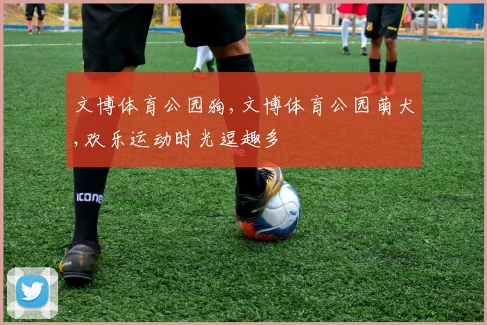 文博体育公园狗,文博体育公园萌犬,欢乐运动时光逗趣多
